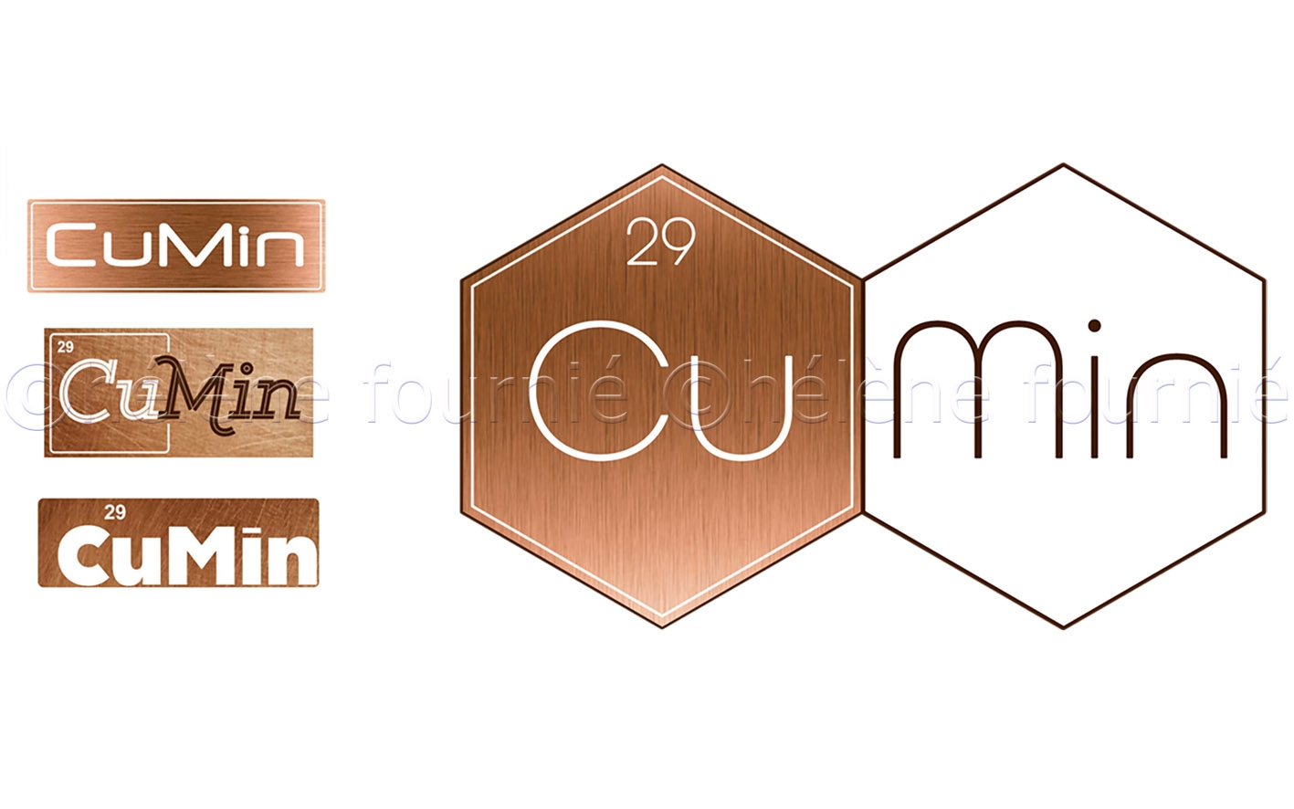 CuMin Project