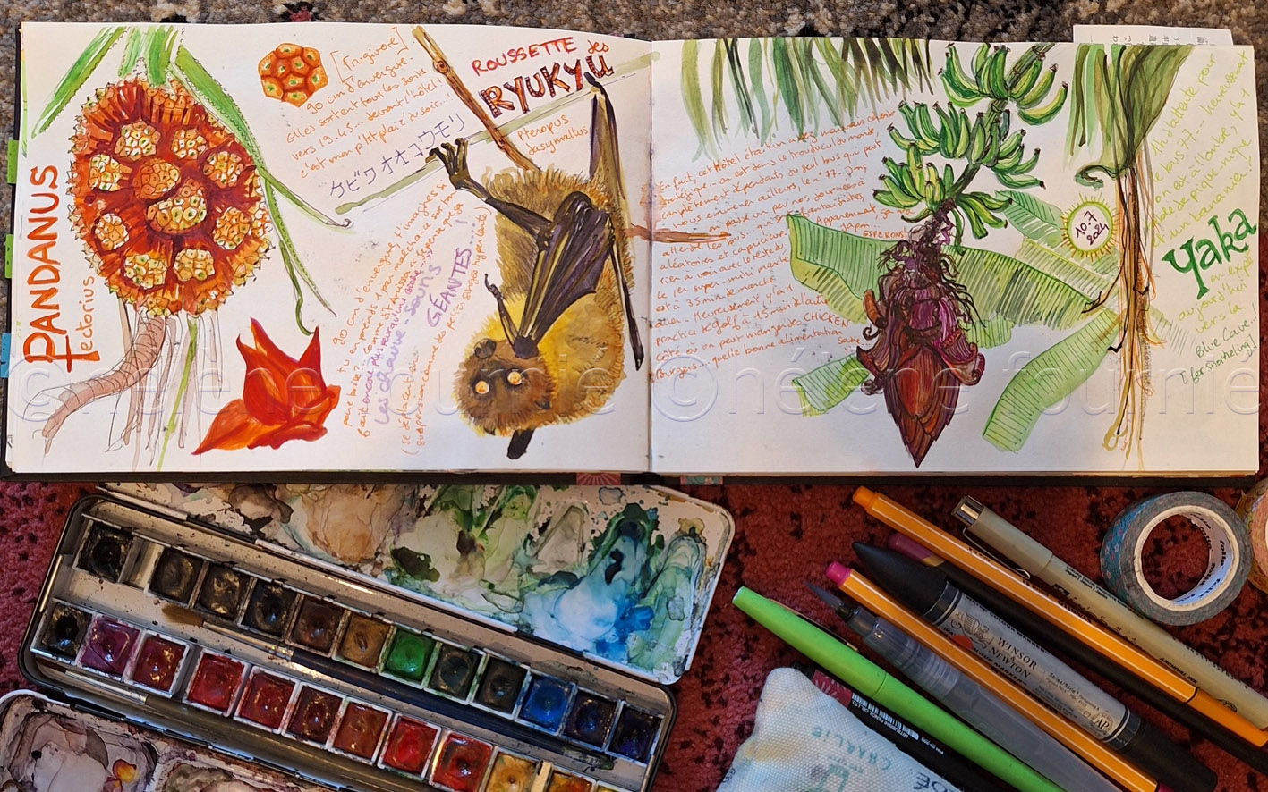 Travel sketchbook from South Korea and Japan