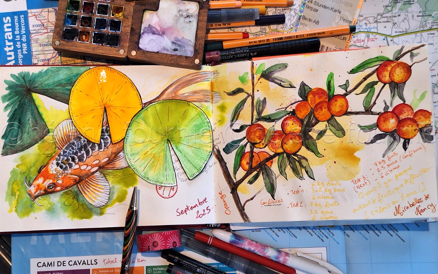 2025 Retrospective — Travel Sketchbooks